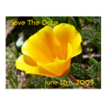 Kalifornien-Mohnblumen-Save the Date Postkarte