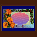 Kalifornien-Mohnblumen-Vintager Weihnachtsrahmen postkarten