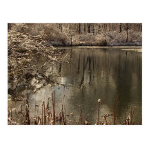 Kalter Teich mit Schnee Postkarte