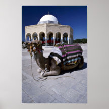Kamel, das vor Haube, Monastir, Tunesien stillsteh Poster