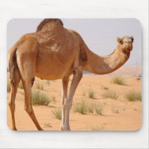 Kamel für Araber-Mausunterlage Mousepads
