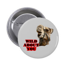 Kamel-Liebhaber Buttons