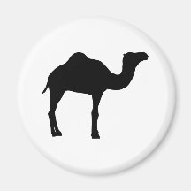Kamel Magnets