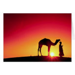 Kamel und Fahrer am Sonnenuntergang, Indien Grußkarte