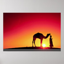 Kamel und Fahrer am Sonnenuntergang, Indien Plakate