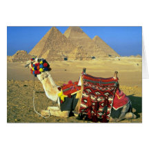 Kamel und Pyramiden, Kairo, Ägypten Karte