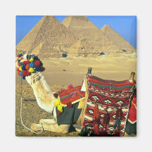 Kamel und Pyramiden, Kairo, Ägypten Magnete