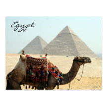 Kamelägypten-Pyramide Postkarte