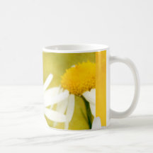 Kamillenblüte im Sommerlicht Kaffee Tassen