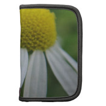 Kamillenblüte Planer