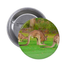 kanga buttons
