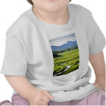 Kangwon-Tun - Chorwon, das in Richtung Nordkoreas  Shirts