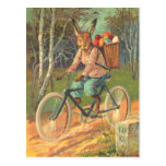 Kaninchen auf seinem Fahrrad, das Eier liefert! Postkarte