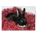 Kaninchen-Weihnachten Grußkarten