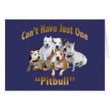 Kann gerade ein Pitbull nicht haben Karten