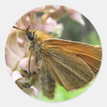 Kapitän auf Milkweed Runder Sticker