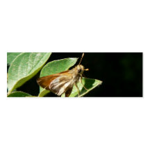 Kapitän-Schmetterlings-Lesezeichen Visitenkarten