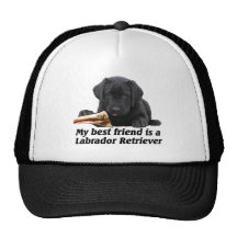 Kappe "Labrador retriever "