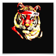 Karate Tiger Photo Print