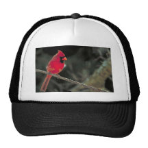 Kardinal Baseball Caps