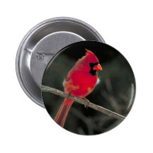 Kardinal Button