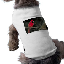 Kardinal Hundeshirts