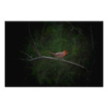 Kardinal im Winter-Wand-Dekor-Druck Fotodrucke