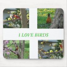 Kardinäle u. Rotkehlchen, i-LIEBE-VÖGEL Mousepad