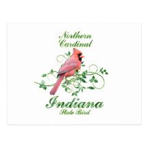 Kardinals-Indiana-Staats-Vogel Postkarte