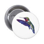 Karminroter Throated Kolibri Anstecknadelbuttons
