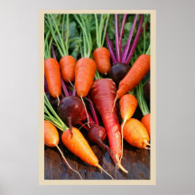 Karotten-und Rüben-Wurzel-Druck Plakat