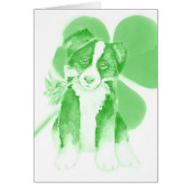 Karte Border-Collie-St.-Paddys Tages