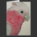 Karte - Cockatoo karten