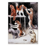 Karte: Hunde, die Hunde pflegen