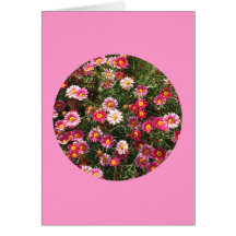 Karte, "malte Gänseblümchen in einem Kreis" F-1