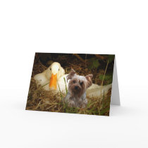 Karte Yorkshires Terrier mit Ente