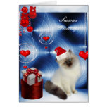 Karten-Weihnachtsflaumige weiße graue Katze