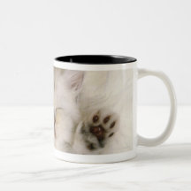 Kätzchen, das auf einem weißen flaumigen Teppich,  Tee Tasse