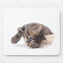 Kätzchen Mousepad