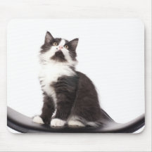 Kätzchen Mousepad