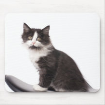 Kätzchen Mousepads