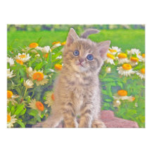 Kätzchen und Blumen Fotografischer Druck
