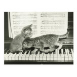 Kätzchen zwei, das auf Klaviertastatur spielt, (B& Postkarten