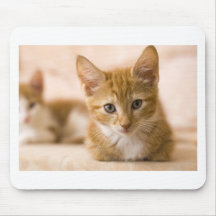 Kätzchenkatze Mauspad