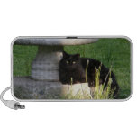 Katze 120 ~ Lautsprecher