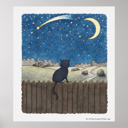 Katze auf einem Zaun, der nächtlichen Himmel über  Plakatdruck