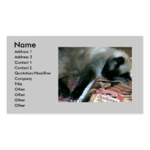 Katze, die auf Kochbuch-Visitenkarte stillsteht
