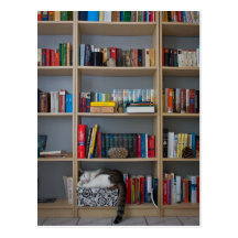 Katze, die in den Bücherregalbibliotheksbüchern sc Postkarte