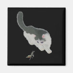 Katze, die Kricket jagt Magnete