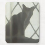 Katze hinter Vorhang mousemat Mousepads